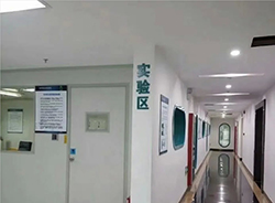 福建医院做亲子鉴定出结果时间