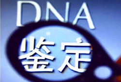 福建如何确认孩子亲生父亲是谁，福建孕期亲子鉴定大概价格